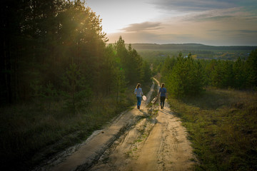 picking mushrooms in the forest