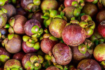 Fresh mangosteens for sell to the market in thailand