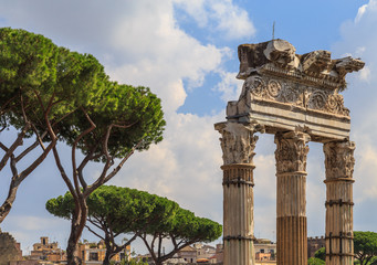 Crown Mediterranean pine trees next to an ancient colonnade in Rome