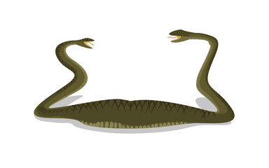 two-headed snake