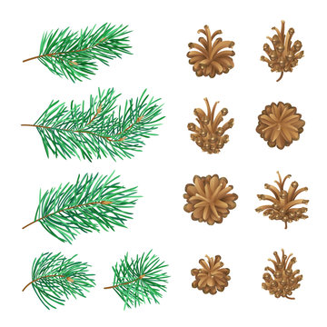 High detailed pine cones and branches with needles.