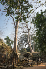 Ta Prohm temple