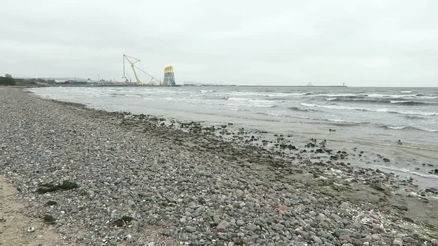Mallard ducks and wave on Baltic sea beach of Neu Mukran (Mecklenburg-Vorpommern, Germany)