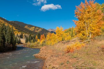 Obraz premium Scenic Colorado Mountain Stream in Fall