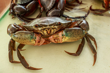 Fresh crab is at a seafood market.