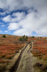 mont lozère