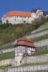 Landschaft und Weinberge bei Freyburg, Burgenlandkreis, Sachsen-Anhalt, Deutschland