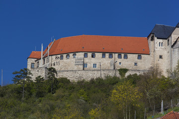 Fototapeta na wymiar Schloss Neuenburg bei Freyburg, Burgenlandkreis, Sachsen-Anhalt, Deutschland