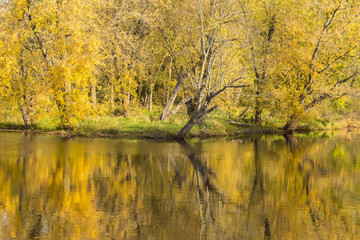 Mississippi River Backwaters In Autumn