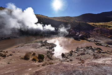 Geysers expelling vapor in the early morning sunlight.