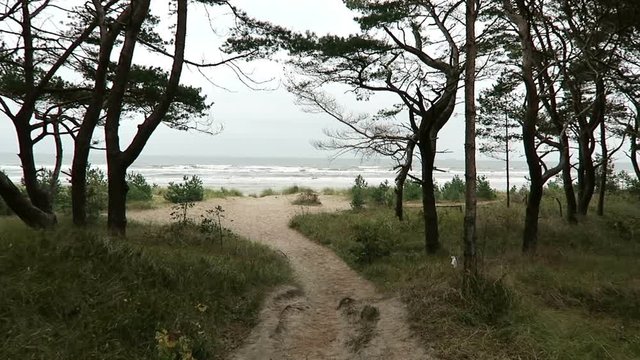 Landscape on the beach of Prora (Rugen Island) Germany. Autumn time. stormy weather.