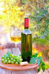 Obraz premium White wine outdoors