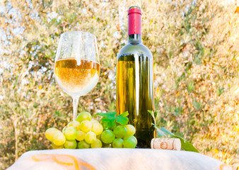 Obraz premium White wine outdoors