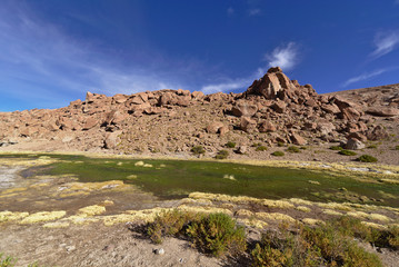 Beautiful view of a stream between mountains full of lush vegetation.