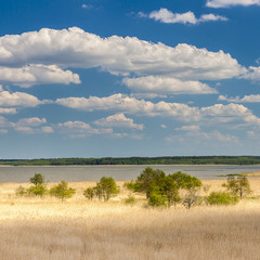 Beautiful view of the lake Łebsko