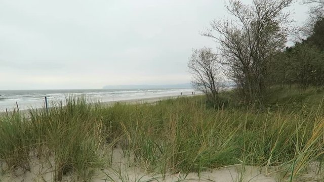 People and kids walking along on the beach of Prora.