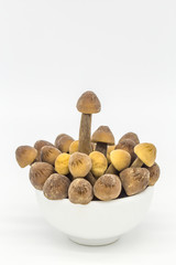 Mushroom ingredients
