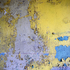 wall