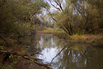Odra river landscape near Velika Gorica, Croatia