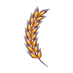 Wheat ear icon. Food grain agriculture and natural theme. Isolated design. Vector illustration