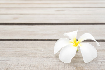 White plumeria on wooden background