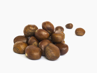 Chestnut isolated over white