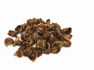 Obraz premium Chestnut peel, a traditional herb ingredient, isolated over white