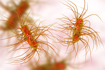 Escherichia coli bacterium, 3D illustration. Gram-negative bacterium with peritrichous flagella which is part of normal intestinal microflora and also causes enteric and other infections