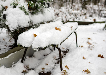 Bench in late autumn park under early snow