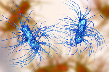 Escherichia coli bacterium, 3D illustration. Gram-negative bacterium with peritrichous flagella which is part of normal intestinal microflora and also causes enteric and other infections