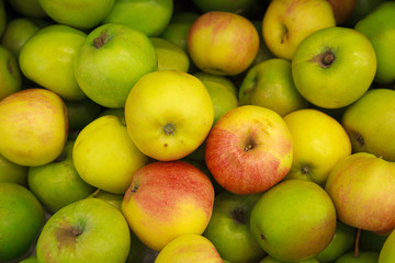 Pile of colorful ripe apples closeup. Food