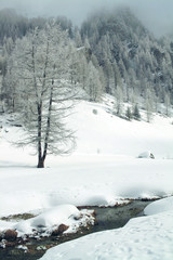 ruisseau d'hiver