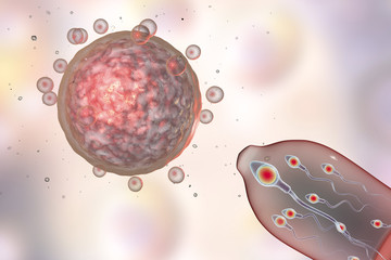 Contraception concept 3D illustration. Eggs cell and condom with spermatozoans