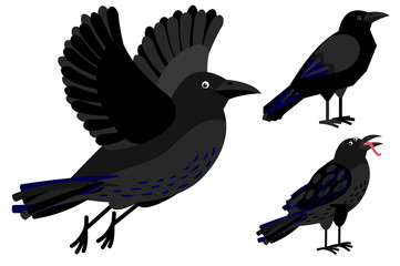 Three black ravens set