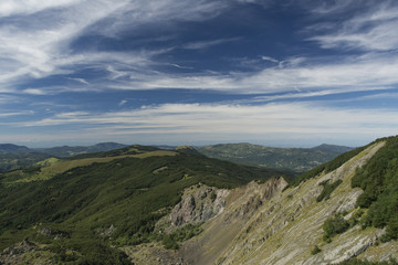 Fototapeta premium OLYMPUS DIGITAL CAMERA