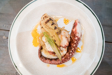 chorocal grill octopus
