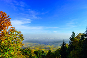 Beautiful white foggy layer over vineyards of Alsace, France