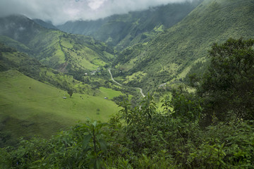 Fototapeta premium High Andes, 12,000 feet, Ecuador