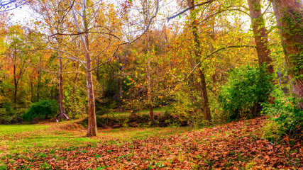 Obraz premium Travel, Ohio