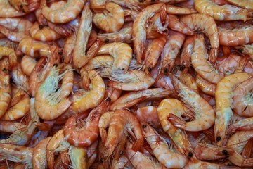 shrimps shrimps shrimps