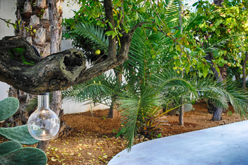 Punto luce architettura giardino