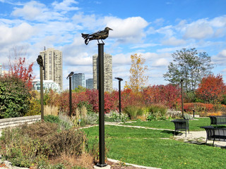  Toronto Lake iron birds 2016