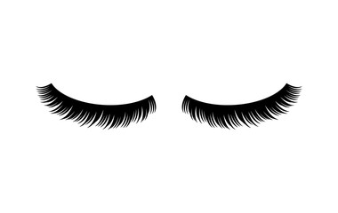 Eyelashes vector illustration