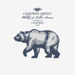 Obraz premium Медведь Гризли, символ штата Калифорния