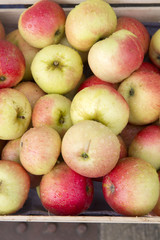 Apple Fruit Background