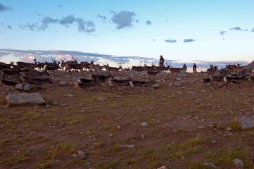 Fototapeta na wymiar rennes