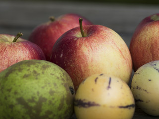 Saisonales Obst auf einem Tisch im Herbst