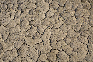 Dry land, cracked ground, without water. 