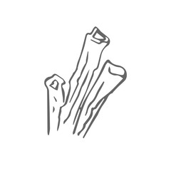 coral scetch. vector