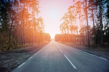 Fototapeta premium asphalt road and forest
